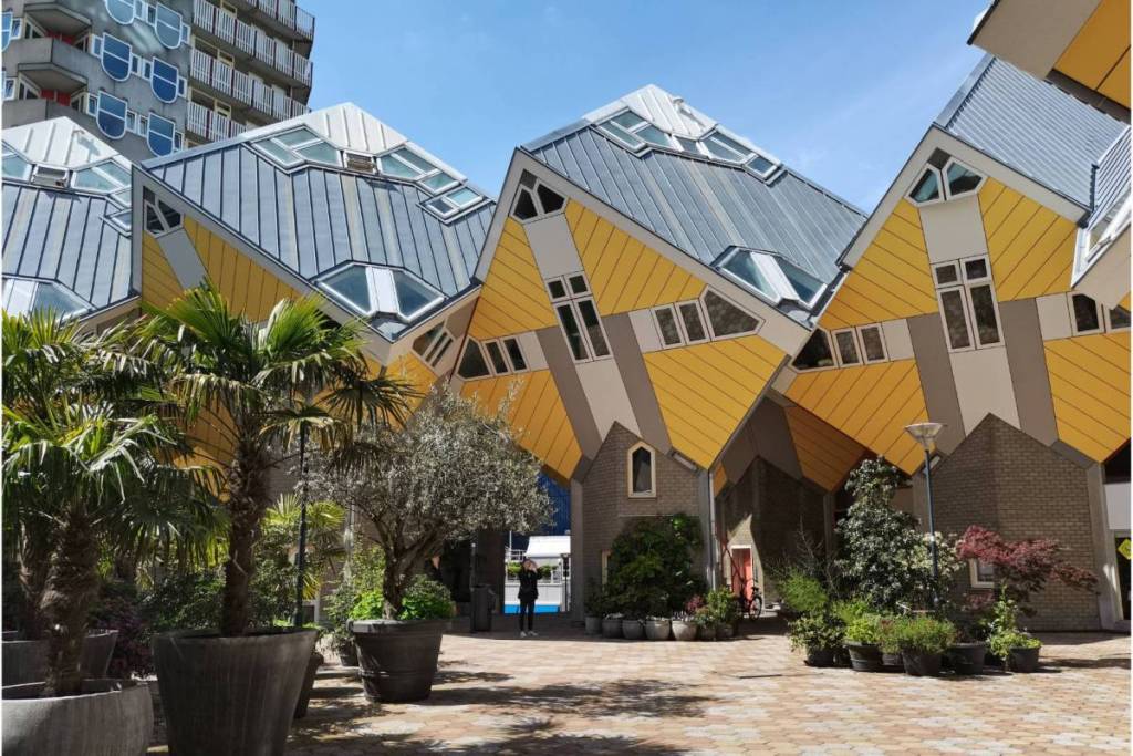 Buitenaanzicht van de iconische gele en grijze Kubuswoningen in Rotterdam op palen, omringd door grote plantenbakken met palmbomen op een zonnig binnenplein.