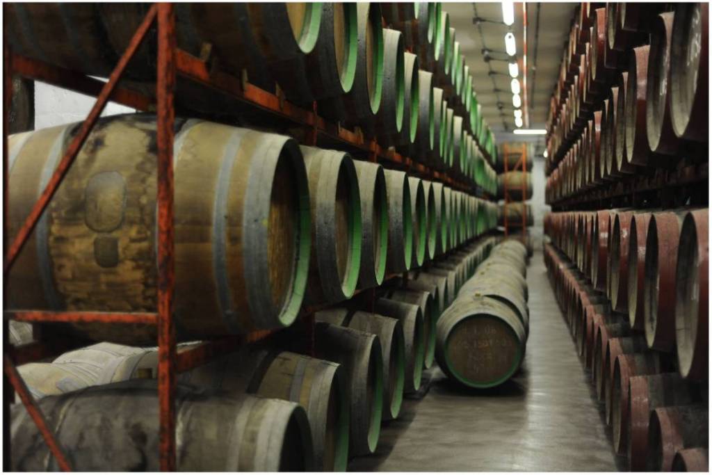 Long rows of wooden oak barrels stacked high in a winery’s aging cellar.