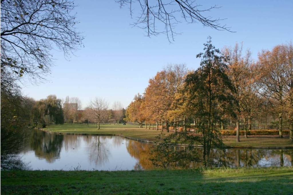 Eine ruhige Herbstlandschaft im Erasmuspark in Amsterdam, mit Bäumen in warmen Herbstfarben, die sich perfekt in einem glatten Teich neben einem gepflegten Rasen unter strahlend blauem Himmel spiegeln.