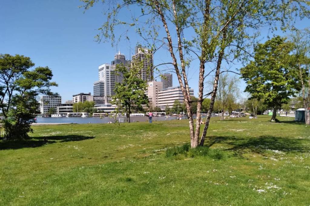 Eine sonnige, grüne Wiese im Park Somerlust mit einer Birke im Vordergrund. Im Hintergrund fließt die Amstel, dahinter erstreckt sich die Skyline von Amsterdam, geprägt von modernen Hochhäusern und Büroturms unter strahlend blauem Himmel.