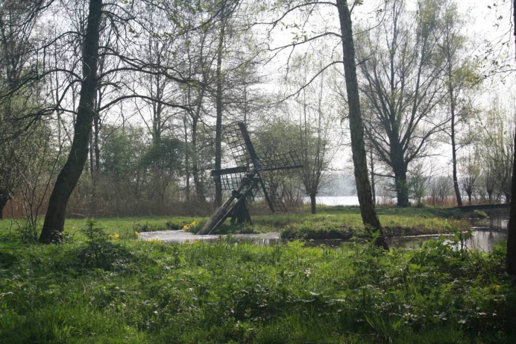 Eine malerische Naturlandschaft im Gaasperpark mit einer traditionellen, kleinen hölzernen Weidemühle (Tjasker), die schräg in einem schmalen Teich steht. Der Teich ist von wildem Gras und gelben Frühlingsblumen umgeben, mit schlanken Bäumen und einem größeren See im Hintergrund.