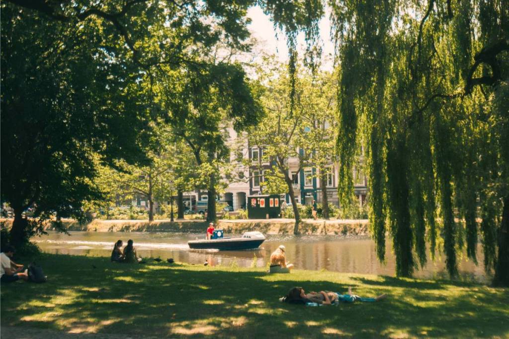 Die Leute entspannen sich und liegen im Gras im Schatten einer großen Trauerweide im Westerpark in Amsterdam.