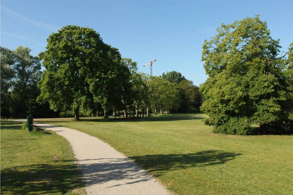 Een kronkelend hardlooppad en wandelpad door een groen park in Amsterdam omringd door grote bomen.
