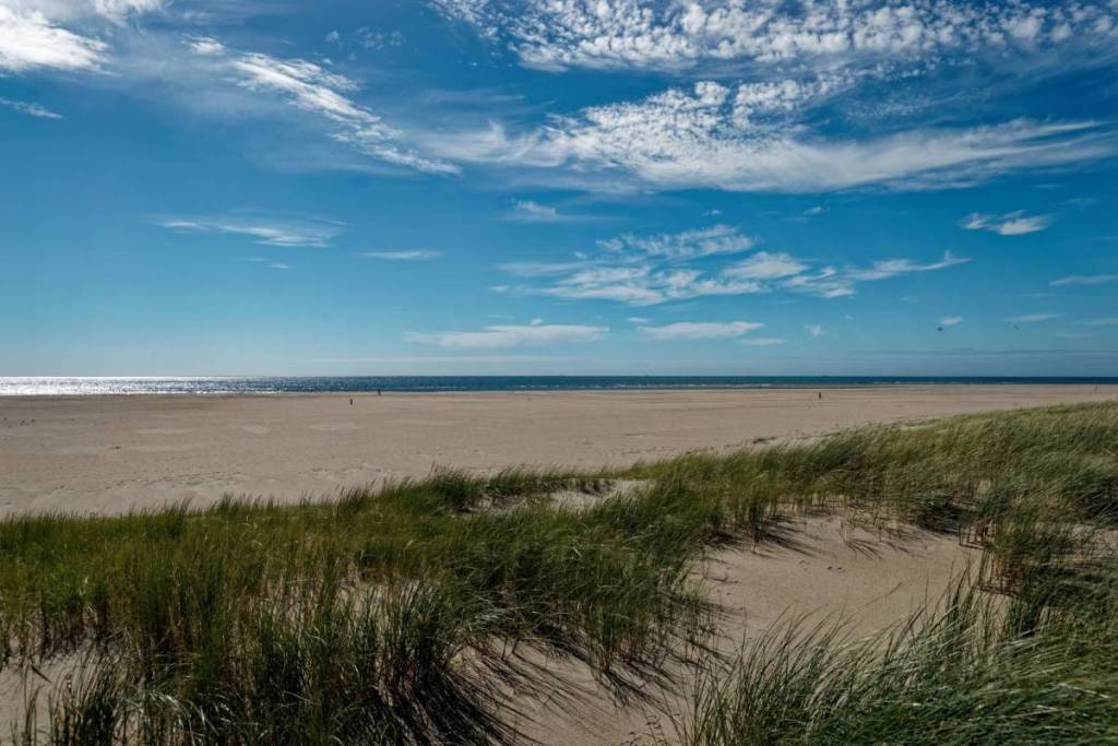 De uitgestrekte, ongerepte zandvlakte van natuurgebied De Hors op Texel met groen helmgras in de voorgrond.