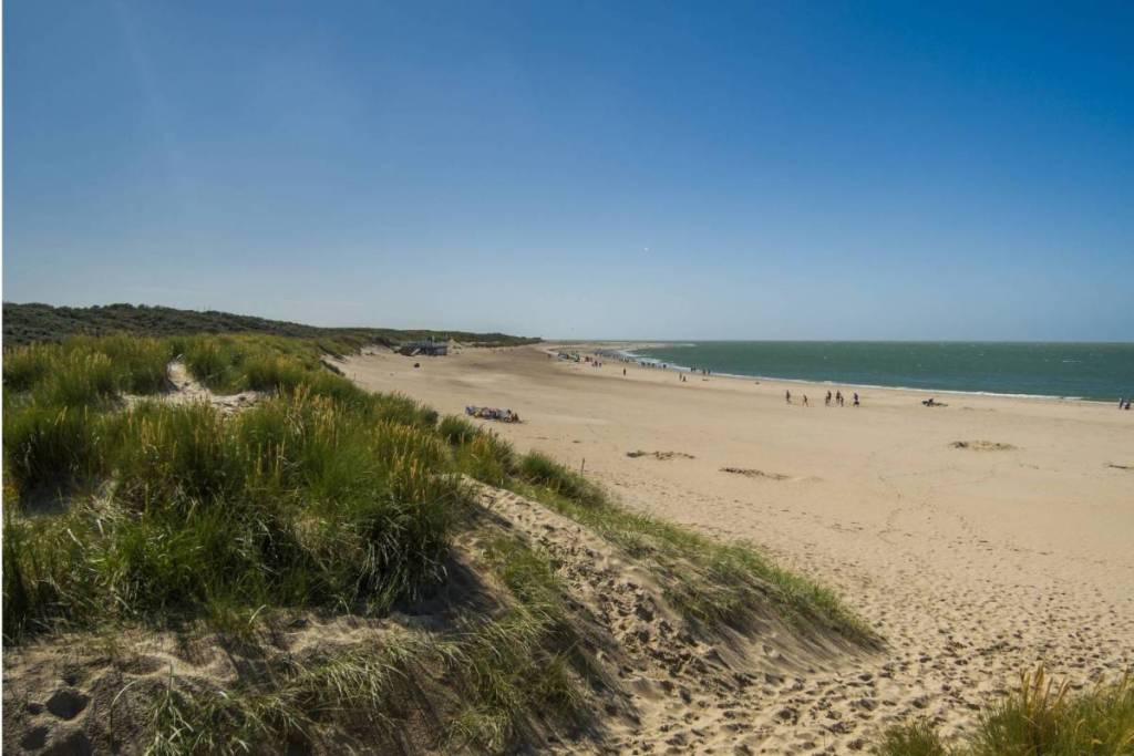 Weids uitzicht vanaf de duinen op het uitgestrekte zandstrand en de open zee bij Renesse.