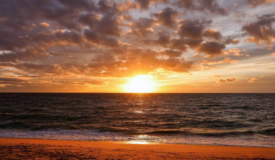 Les plus belles plages des Pays-Bas : 10 endroits exceptionnels sur la côte