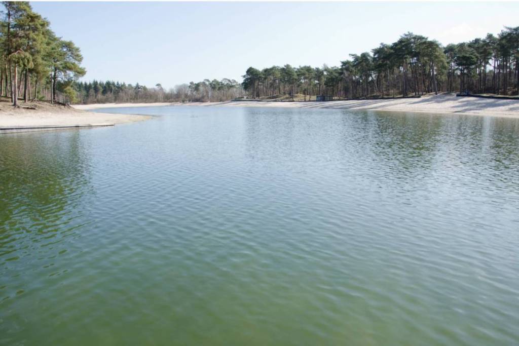 Una vista panoramica sulle vaste acque verdastre dell’Henschotermeer, verso la sinuosa spiaggia di sabbia bianca e la riva boscosa sotto il sole cocente.