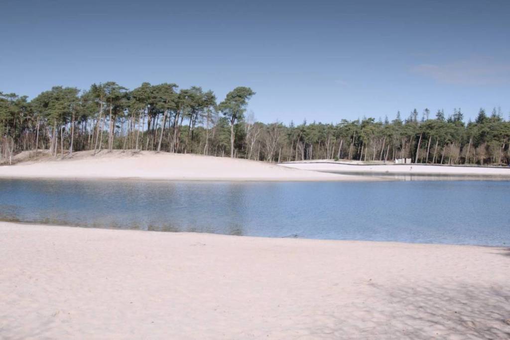 e una vista limpida sulle acque blu dell’Henschotermeer verso una suggestiva duna sabbiosa ricoperta di pini sulla sponda opposta, sotto un cielo limpido.