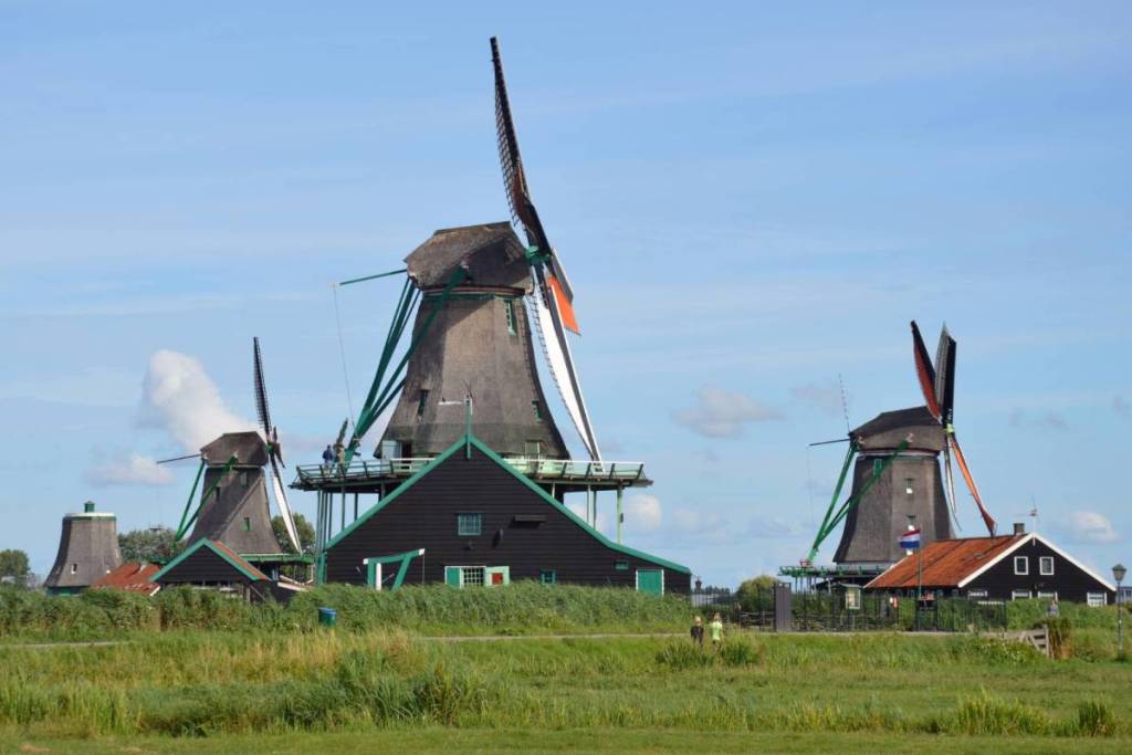 Una fila di storici mulini industriali con tetto di paglia e struttura in legno nero nel verde paesaggio dei polder dello Zaanse Schans.