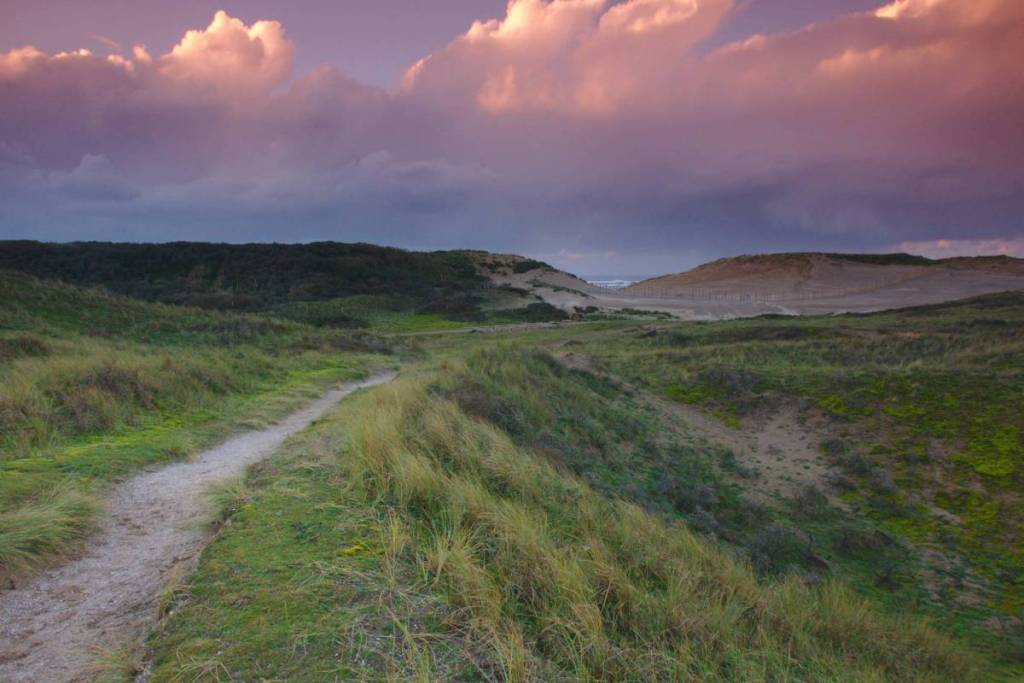 Sandweg durch das Dünental in Richtung der Strandbank unter einem dramatischen rosa Sonnenuntergang