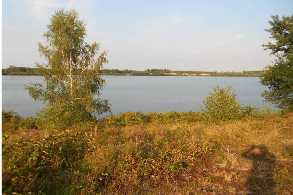 Vista sulle acque tranquille del Reindersmeer da una collina ricoperta di vegetazione nel Parco Nazionale De Maasduinen.