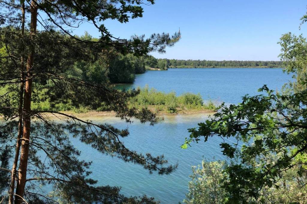 Vista attraverso i rami di pino sull’acqua azzurra e sulle rive sabbiose del Reindersmeer.