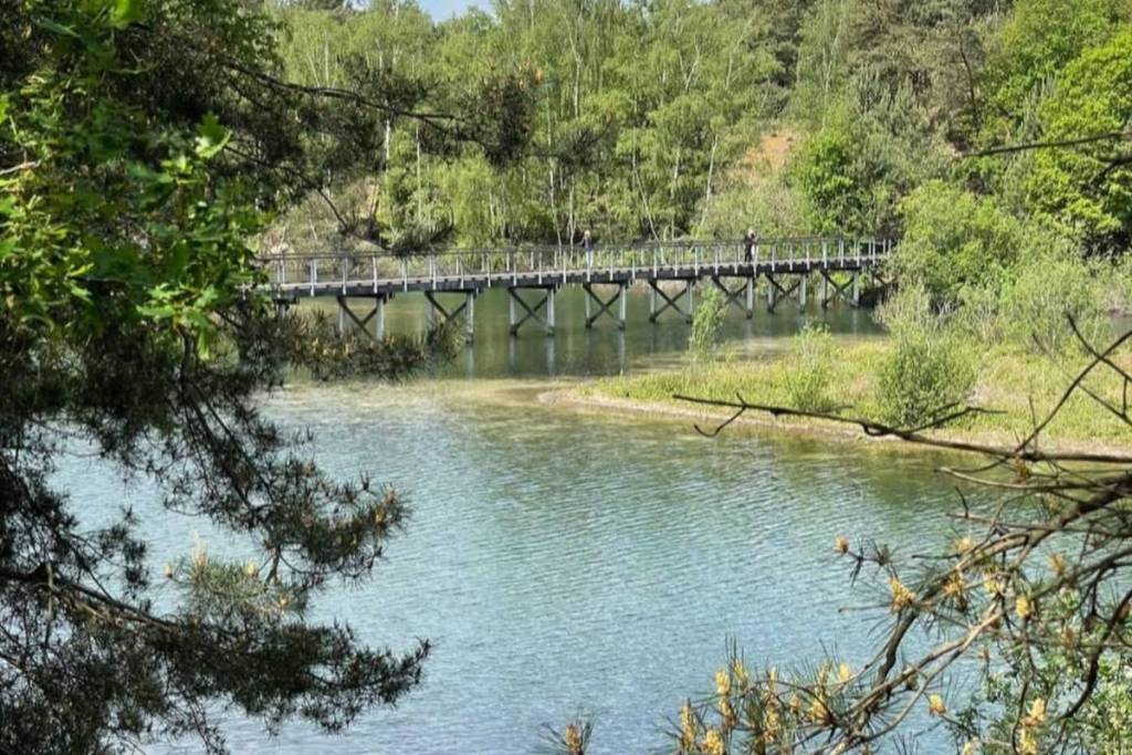 Ponte pedonale in legno su una stretta insenatura del limpido Reindersmeer, circondato dagli alberi.