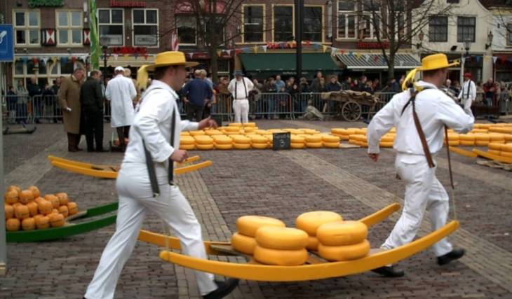 Op 35 minuten van Amsterdam vind je de oudste kaasmarkt ter wereld: hier dragen mannen 160 kilo kaas over het plein onder een bizar reglement uit 1593