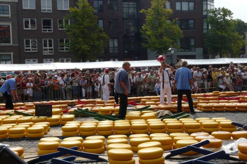 Hunderte runde gelbe Käse liegen auf dem Waagplein in Alkmaar aus, wo Käseträger und Prüfer vor einer großen Zuschauermenge bei der Arbeit sind.