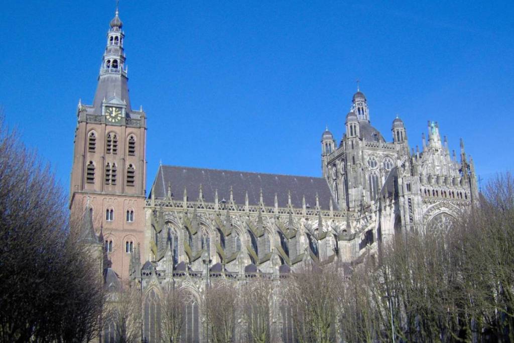 Vista lateral de la catedral de San Juan en Den Bosch con la torre medieval, la nave principal y la doble hilera de arcos de aire.