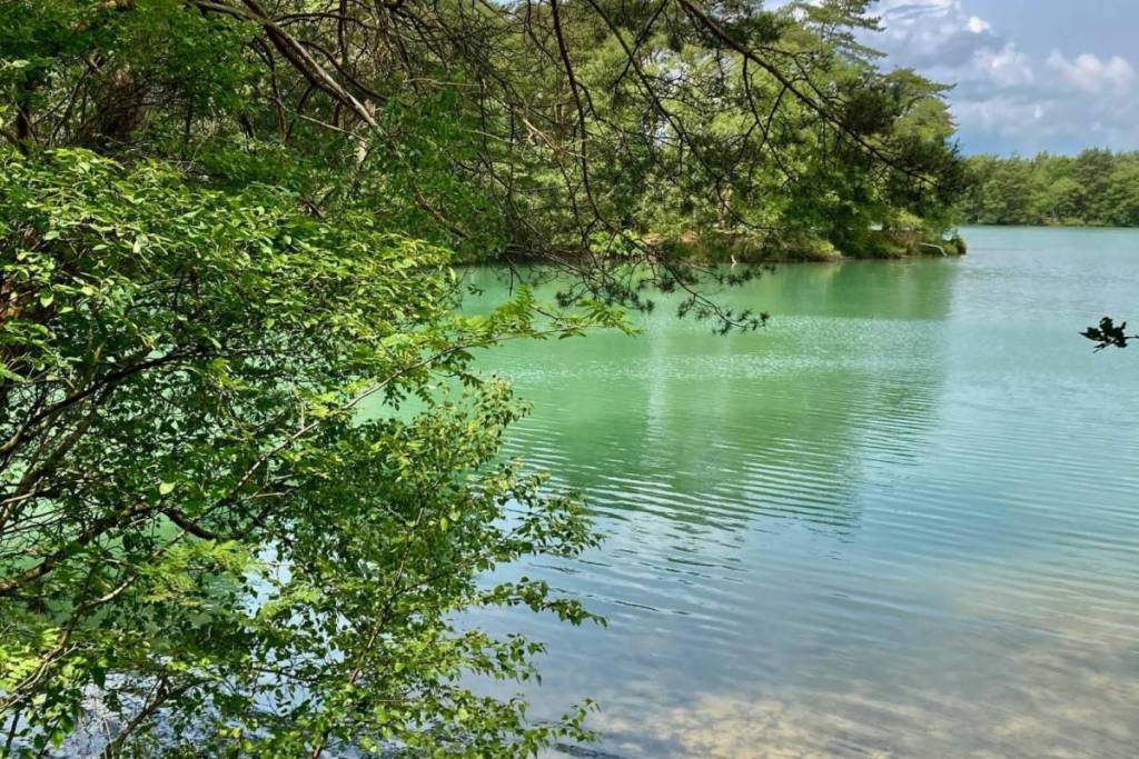 acque verde-azzurre tropicali del Lago Blu a Hoogersmilde, incorniciate da rami sporgenti.