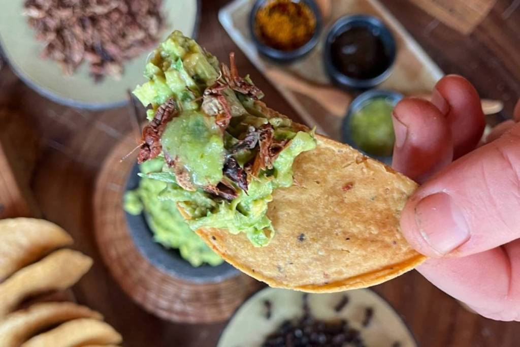 Crispy tortilla chips with fresh guacamole and traditional Mexican grasshoppers (chapulines).