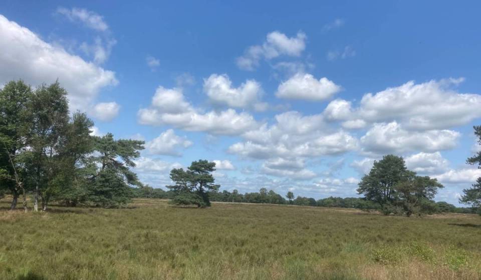A 2 ore di macchina da Amsterdam si trova la brughiera più misteriosa della Drenthe: un paesaggio di 367 ettari dichiarato patrimonio dell’UNESCO, ricco di segreti storici ancora intatti