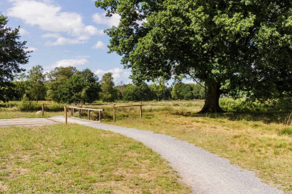A semi-paved walking trail leading to a small wooden bridge next to an old oak tree on the Balloerveld.