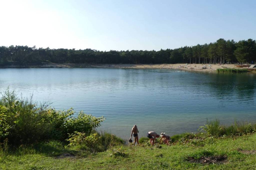 Panoramisch uitzicht op het heldere water en de omringende naaldbossen van recreatiegebied Zandenplas in Nunspeet.