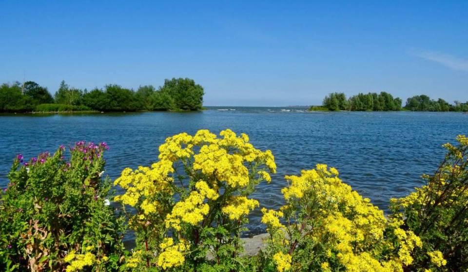 A un’ora di macchina da Amsterdam si trova il lago più grande dei Paesi Bassi: la trasformazione da acqua salata a acqua dolce, villaggi sommersi e isole naturali artificiali