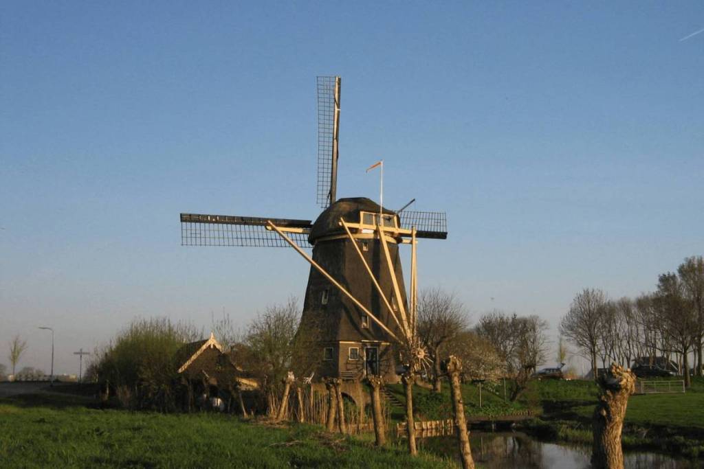 Een klassieke, rietgedekte poldermolen genaamd De Zwaan langs de Ouderkerkerdijk in het open polderlandschap rond Ouderkerk aan de Amstel, tijdens een zonnige namiddag.
