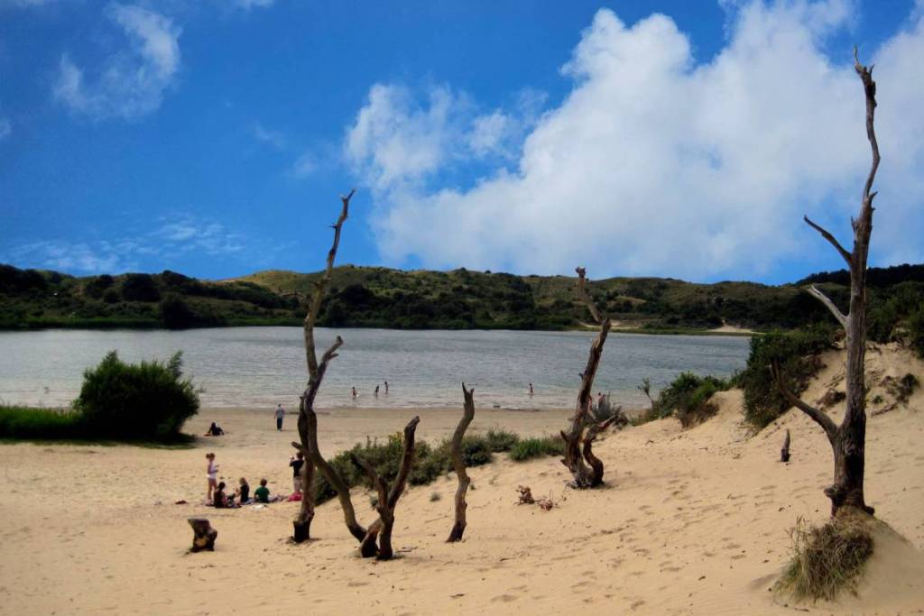 Playa de arena junto al lago de dunas «'t Wed», con gente disfrutando del tiempo libre y llamativos troncos muertos en primer plano