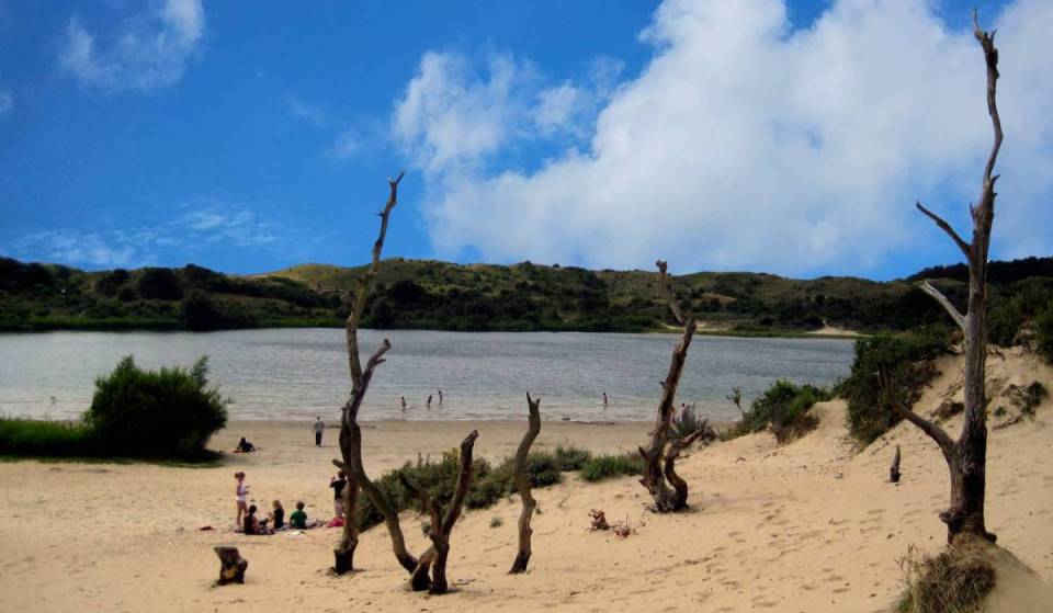 A 40 minutos de Ámsterdam se encuentra el lago para bañarse más visitado de Zuid-Kennemerland: un lago de dunas de 8 metros de profundidad con agua natural cristalina en nuestro parque de dunas con mayor biodiversidad.