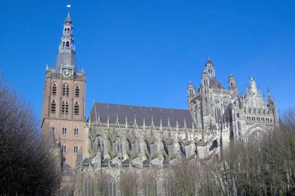 La vista lateral de la catedral gótica de San Juan en 's-Hertogenbosch bajo un cielo azul claro.