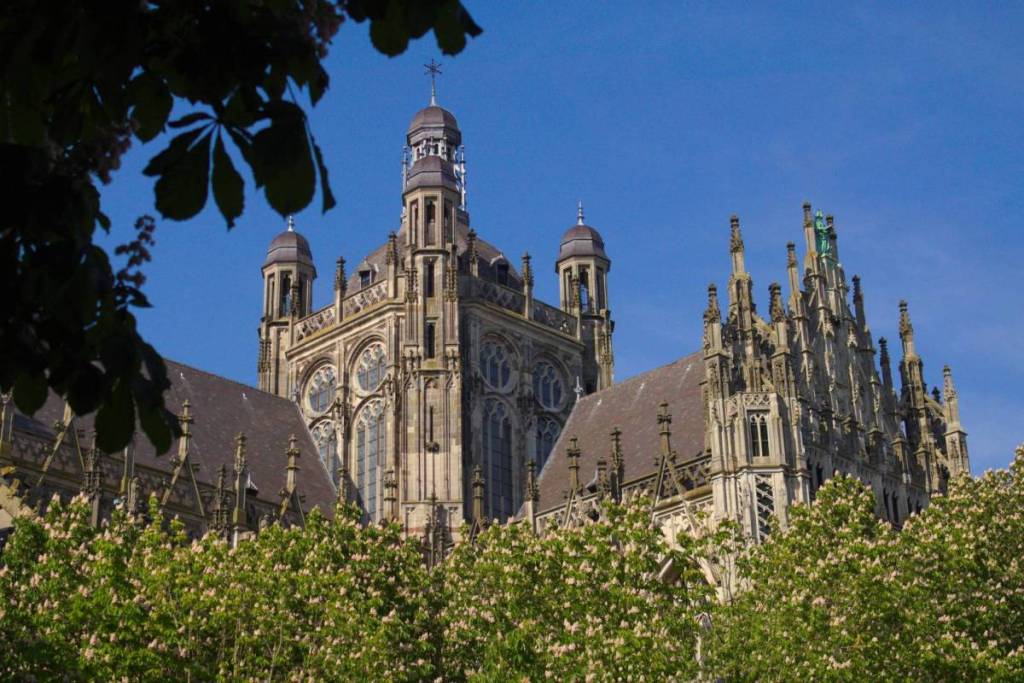 La detallada fachada gótica y las torres de la catedral de San Juan en 's-Hertogenbosch, parcialmente ocultas tras árboles en flor.