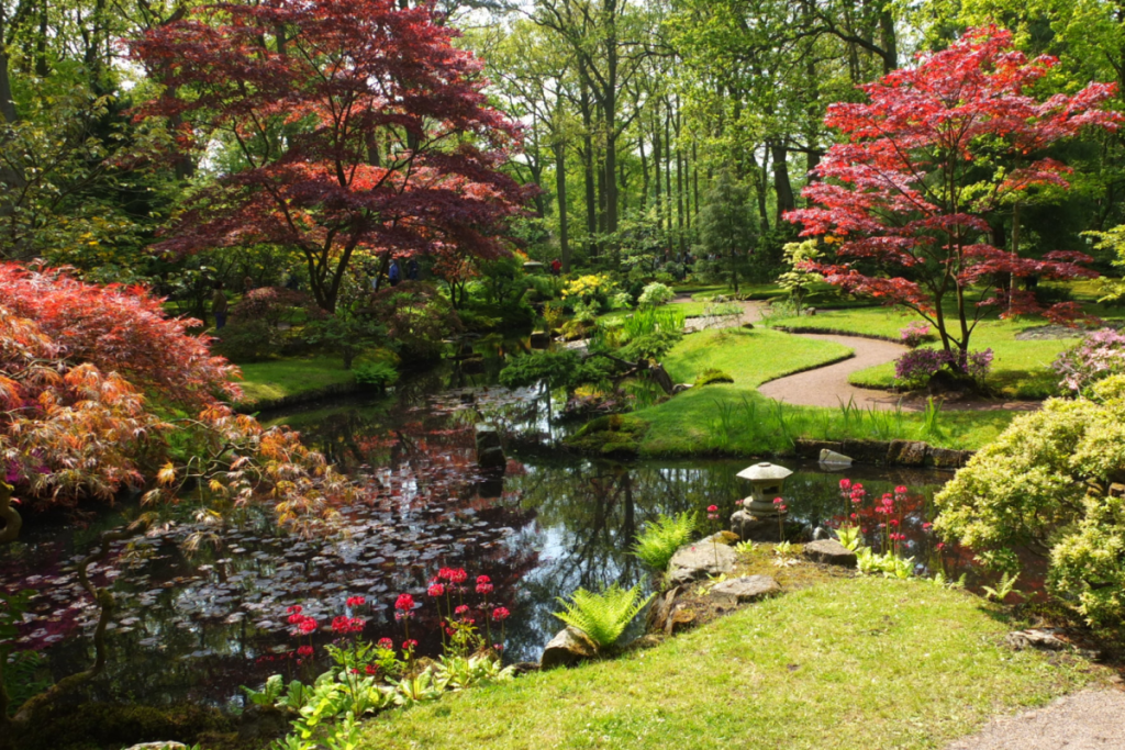 Stimmungsvoller Teich im Japanischen Garten auf dem Landgut Clingendael mit rot gefärbten japanischen Ahornbäumen und einer Steinlaterne am Ufer.