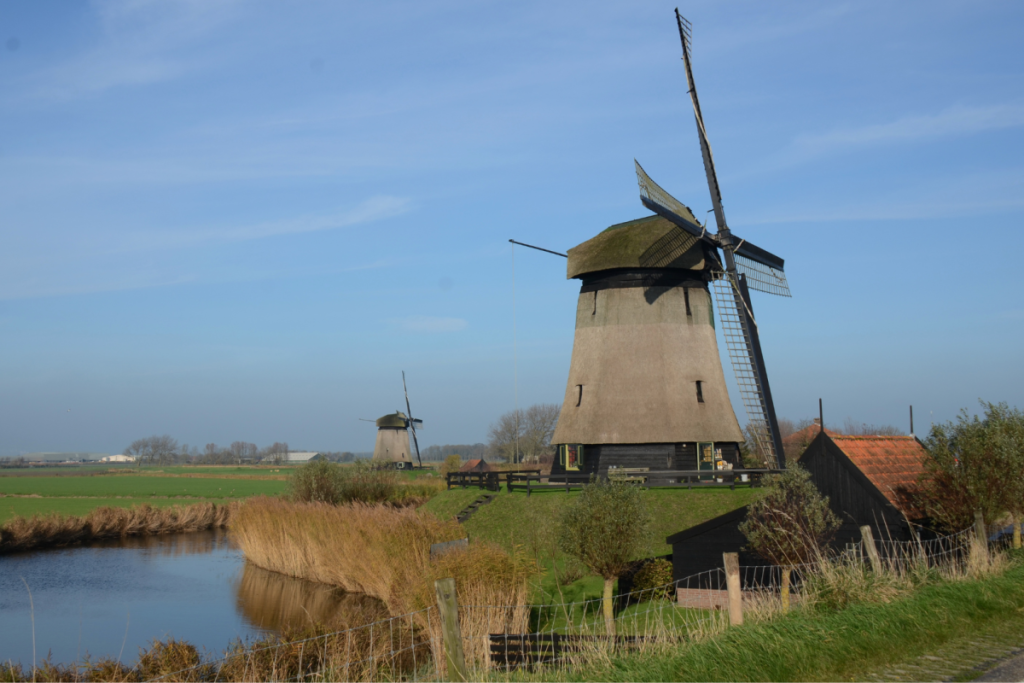 Eine historische Wippmühle in einer grünen niederländischen Polderlandschaft mit Schilf und Wasser unter blauem Himmel.