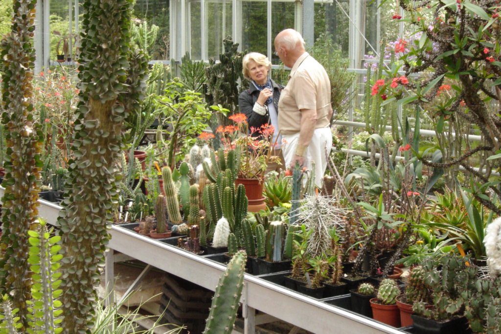 Besucher im überdachten Gewächshaus, umgeben von verschiedenen Kakteen und Sukkulenten in Trompenburg.