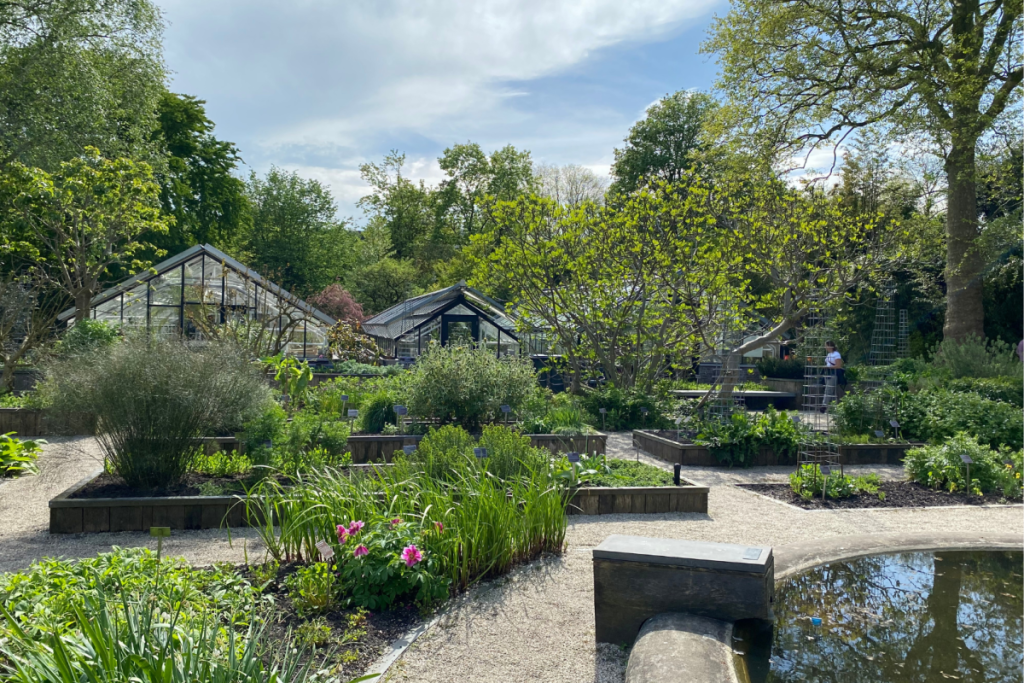 Übersicht über den Außengarten und die historischen Glasgewächshäuser des Hortus Botanicus in Amsterdam