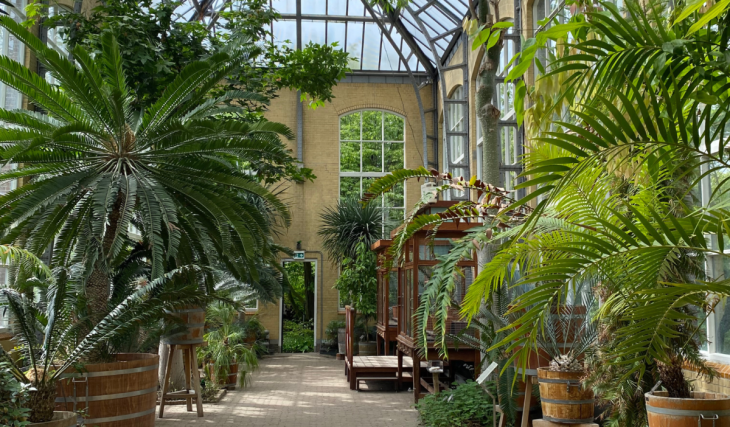 In Amsterdam vind je een van de oudste botanische tuinen ter wereld: hier schuilt het geheim achter alle Zuid-Amerikaanse koffie