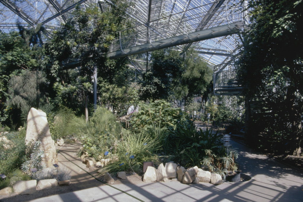 Großer sandfarbener Felsmonolith, umgeben von Kakteen und Sukkulenten, entlang eines Kieswegs im Dreiklimagewächshaus des Hortus Botanicus Amsterdam