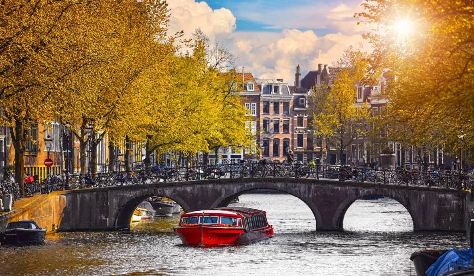 Was man im Oktober in Amsterdam unternehmen kann: von magischen Konzerten über das Amsterdam Dance Event bis hin zu den schönsten Herbstausflügen