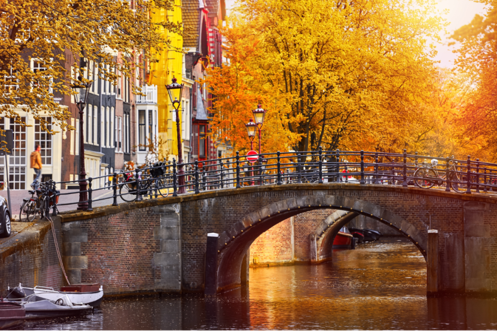 Eine stimmungsvolle Steinbrücke über einen Amsterdamer Kanal, umgeben von Bäumen mit goldenen Herbstblättern und klassischen Kanalhäusern.