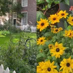 Huiszittenweduwenhof: un patio escondido en el barrio del Jordaan en vídeo