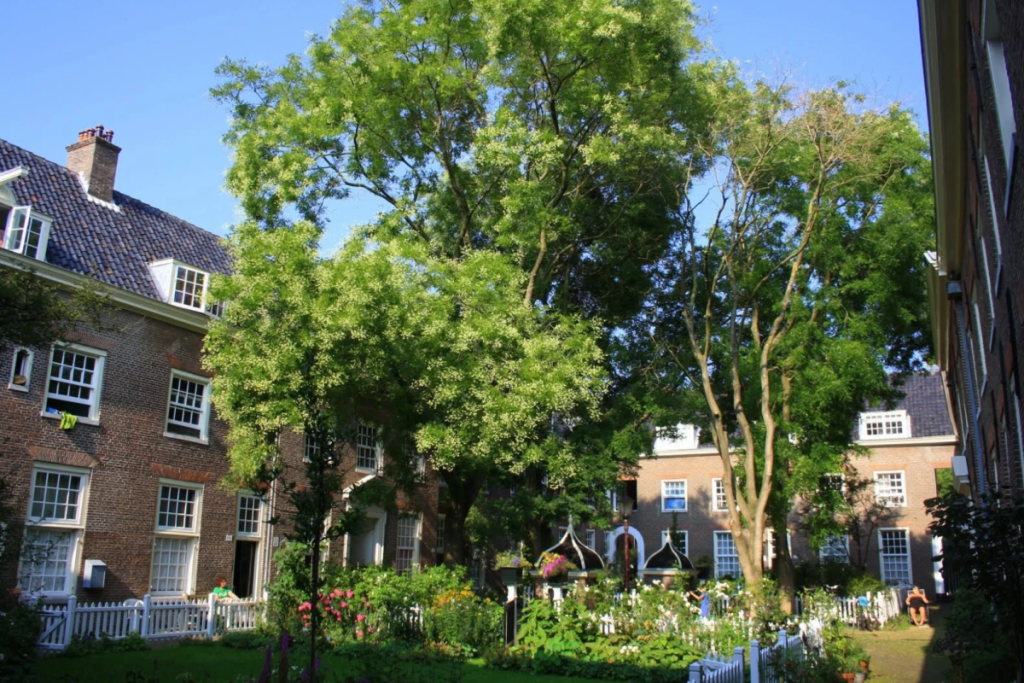 Grüner Innenhof des „Huiszittenweduwenhof“ mit historischen Fassaden und den authentischen Wasserpumpen am Karthuizersplantsoen