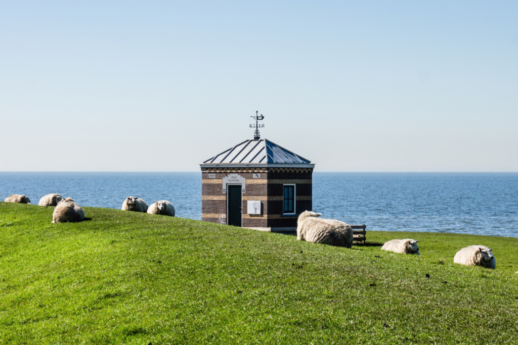 Das historische Rettungshäuschen auf dem grünen Deich von Hindeloopen mit grasenden Schafen am IJsselmeer