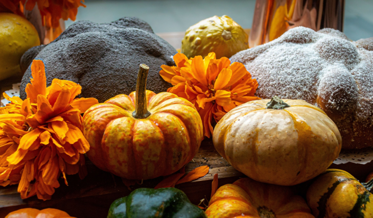 Die leckersten Kürbisrezepte für den Herbst: von cremiger Suppe bis hin zu gemütlichen Backwaren