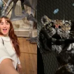 Art Zoo Museum Amsterdam: Video über die barocke Taxidermie