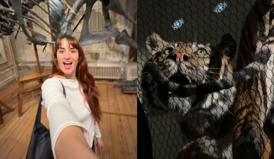 Art Zoo Museum Amsterdam: Video über die barocke Taxidermie