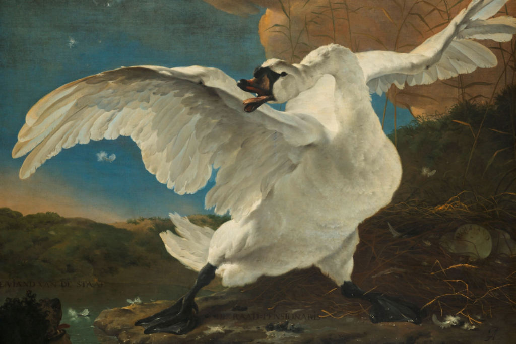 Das berühmte Meisterwerk „Der bedrohte Schwan“ von Jan Asselijn, das einen wilden Schwan zeigt, der sein Nest verteidigt.