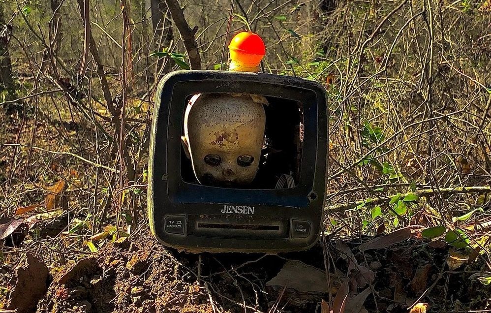 Scary Trail Through Dolls Head Haven Is Guaranteed To Give You The Creeps