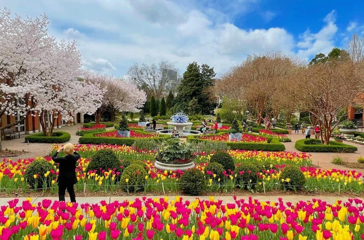Atlanta Botanical Garden in full bloom