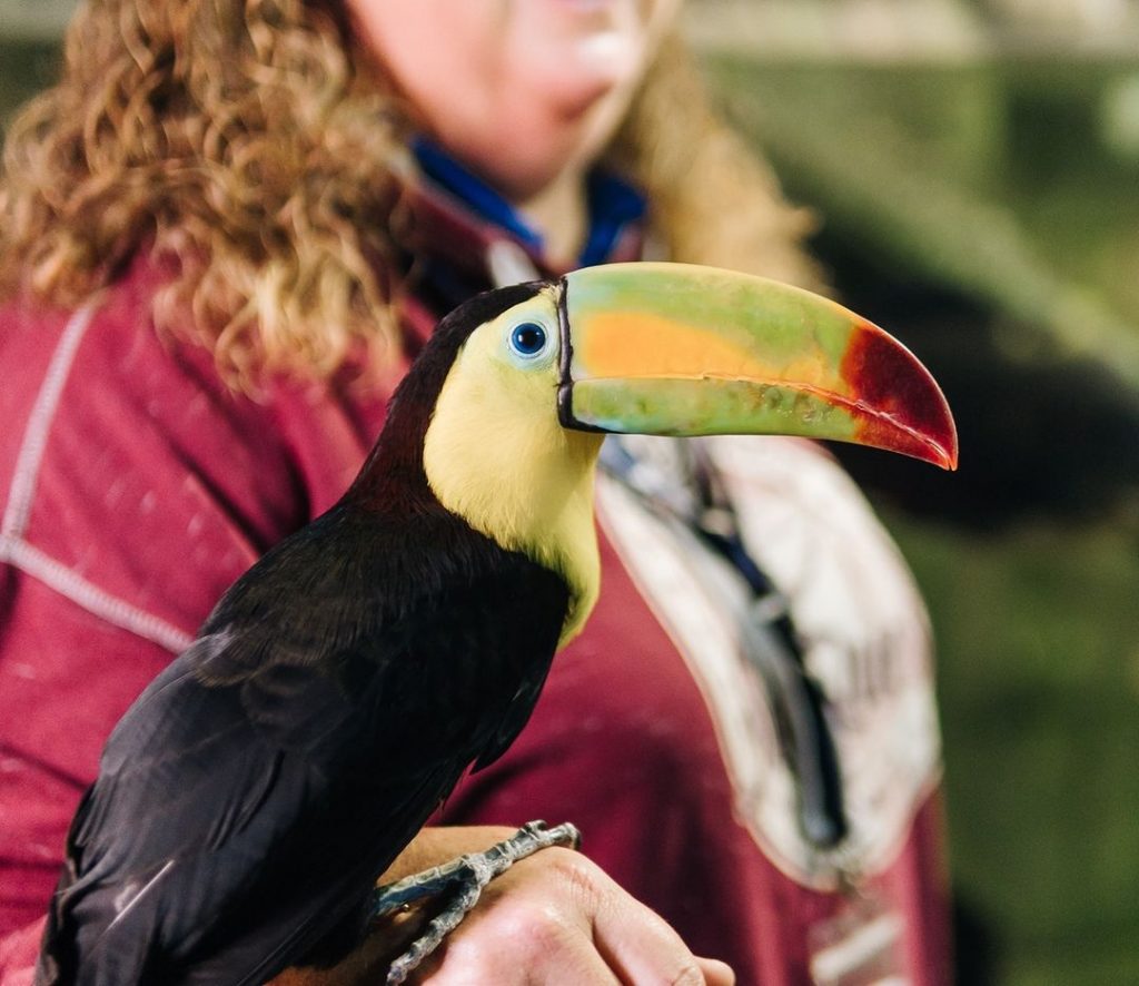 Stonecrest’s Sears Building Will Soon An Insane Aquarium
