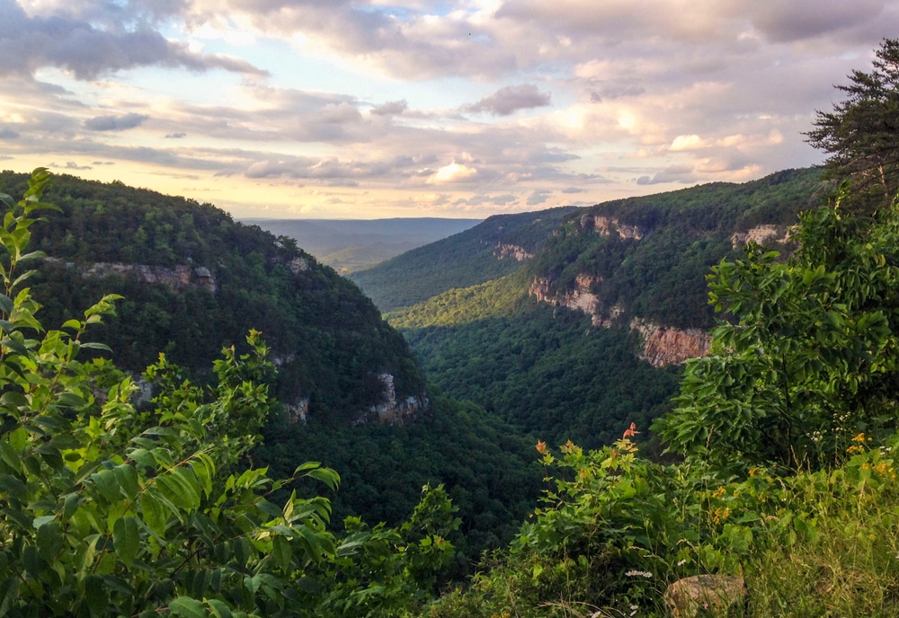 Cloudland, Canyon, State, Park, en el norte de Georgia